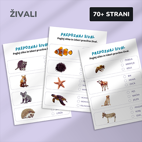Predšolski program (2-5 let)
