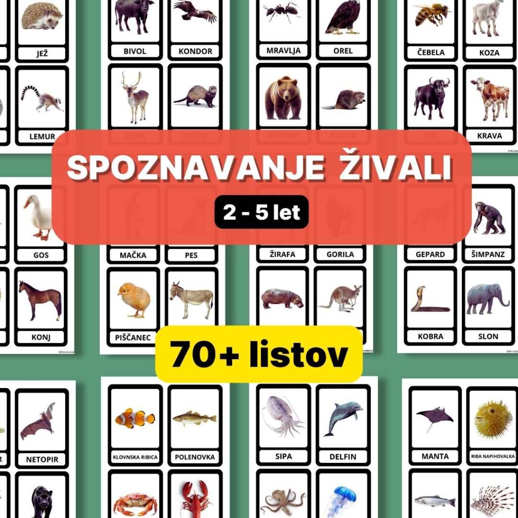 Spoznavanje živali